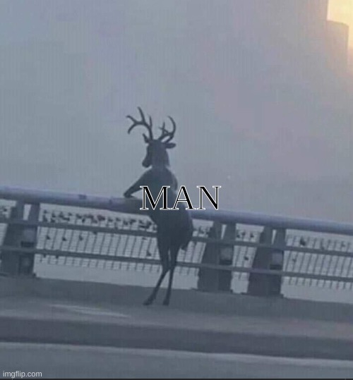 Sad deer | MAN | image tagged in sad deer | made w/ Imgflip meme maker