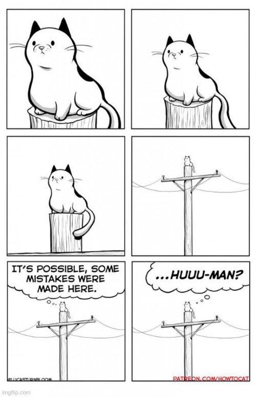How to Cat | image tagged in cats,comics,how to cat | made w/ Imgflip meme maker