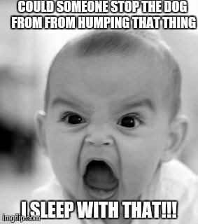 Angry Baby Meme | COULD SOMEONE STOP THE DOG FROM FROM HUMPING THAT THING I SLEEP WITH THAT!!! | image tagged in memes,angry baby | made w/ Imgflip meme maker