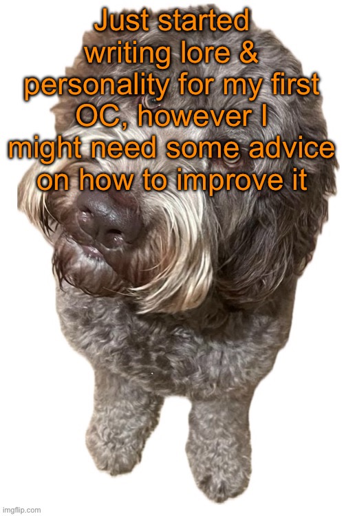 I probably won’t have any drawings of my OC since my goal is to make it live action | Just started writing lore & personality for my first OC, however I might need some advice on how to improve it | image tagged in norther's dog | made w/ Imgflip meme maker
