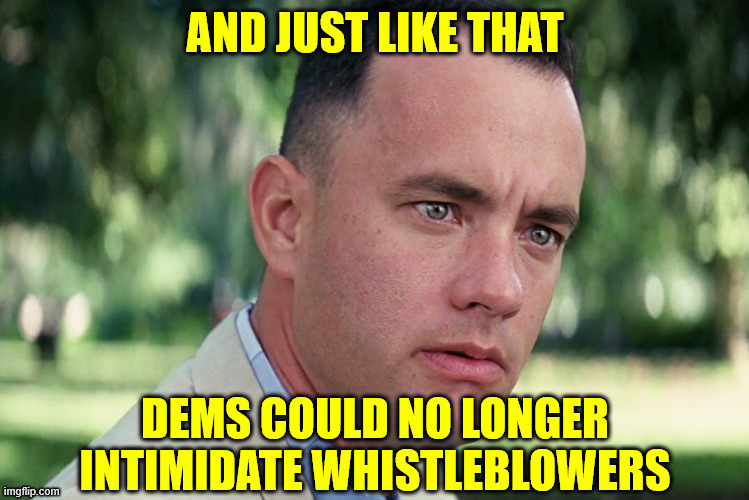And Just Like That Meme | AND JUST LIKE THAT DEMS COULD NO LONGER INTIMIDATE WHISTLEBLOWERS | image tagged in memes,and just like that | made w/ Imgflip meme maker