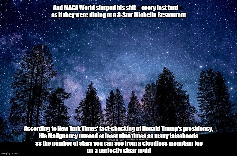 Trump World Coprophiles | And MAGA World slurped his shit -- every last turd -- 
as if they were dining at a 3-Star Michelin Restaurant​ | image tagged in trump,coprophiles,coprophilia,trump lies,mendacity,falsehood | made w/ Imgflip meme maker