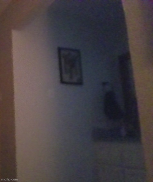 can you guys see it too??? | made w/ Imgflip meme maker