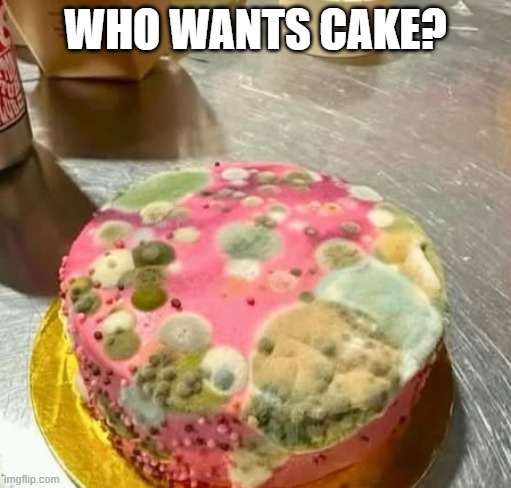 Yummy Cake | WHO WANTS CAKE? | image tagged in cursed image | made w/ Imgflip meme maker