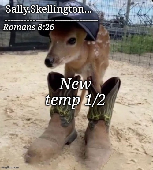 Sally's temp | New temp 1/2 | image tagged in sally's temp | made w/ Imgflip meme maker