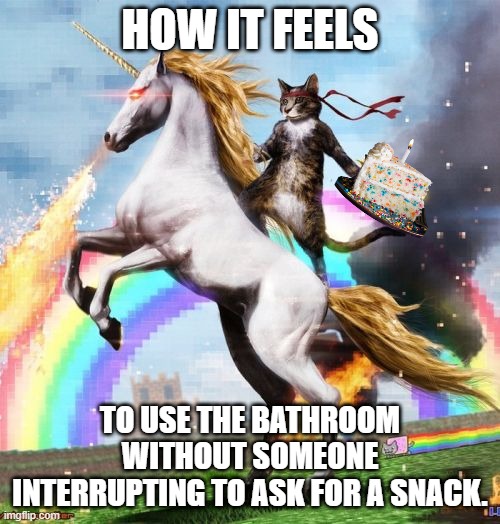 Welcome To The Internets | HOW IT FEELS; TO USE THE BATHROOM WITHOUT SOMEONE INTERRUPTING TO ASK FOR A SNACK. | image tagged in memes,welcome to the internets | made w/ Imgflip meme maker