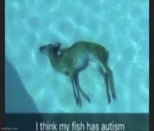 Lowkey what i think of with all the deerposting | made w/ Imgflip meme maker