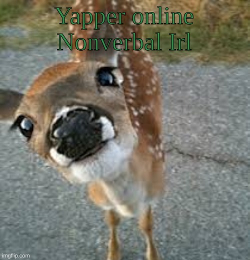 AsherCore: | Yapper online








Nonverbal Irl | image tagged in ashercore | made w/ Imgflip meme maker