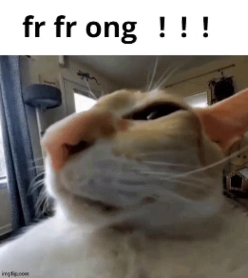 fr fr ong | image tagged in fr fr ong | made w/ Imgflip meme maker