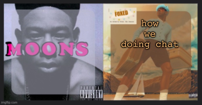 moons and foxed shared temp | how we doing chat | image tagged in moons and foxed shared temp | made w/ Imgflip meme maker