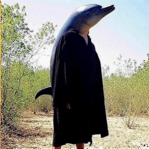 Dolphin cult Reveal!!!!! | made w/ Imgflip meme maker