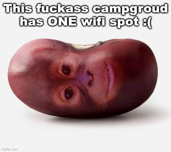 Primate | This fuckass campgroud has ONE wifi spot :( | image tagged in primate | made w/ Imgflip meme maker