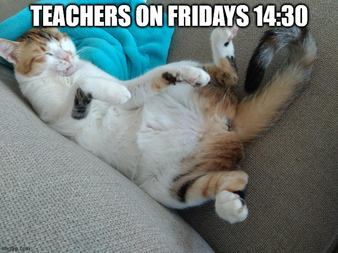 Teachers on Fridays 14:30 | TEACHERS ON FRIDAYS 14:30 | image tagged in teachers | made w/ Imgflip meme maker