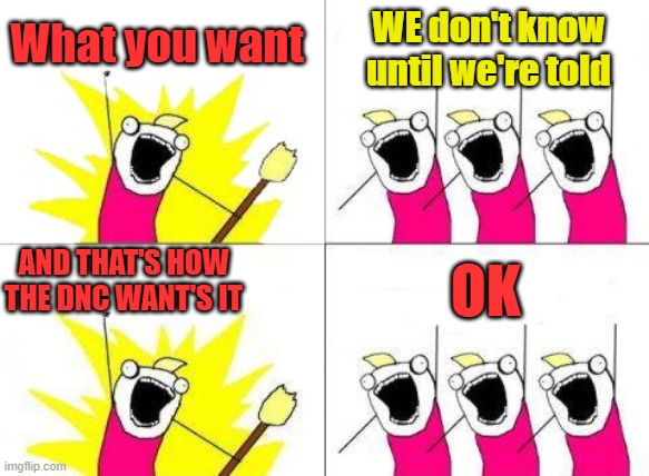 See how it work's | What you want; WE don't know until we're told; AND THAT'S HOW THE DNC WANT'S IT; OK | image tagged in memes,what do we want | made w/ Imgflip meme maker