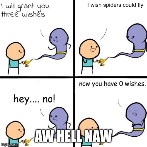 3 Wishes Alternate | I wish spiders could fly; AW HELL NAW | image tagged in 3 wishes alternate | made w/ Imgflip meme maker