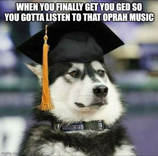 educated husky | WHEN YOU FINALLY GET YOU GED SO YOU GOTTA LISTEN TO THAT OPRAH MUSIC | image tagged in educated husky,oprah,educational,funny memes | made w/ Imgflip meme maker