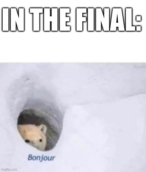 IN THE FINAL: | image tagged in bonjour | made w/ Imgflip meme maker