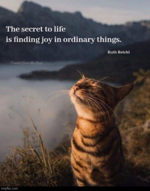 The secret to life | image tagged in repost,the secret to life | made w/ Imgflip meme maker