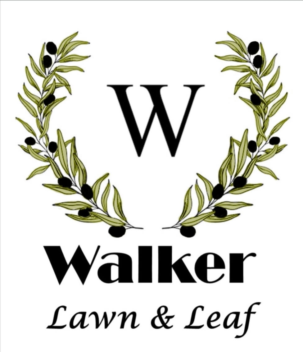 Walker Lawn & Leaf Blank Meme Template
