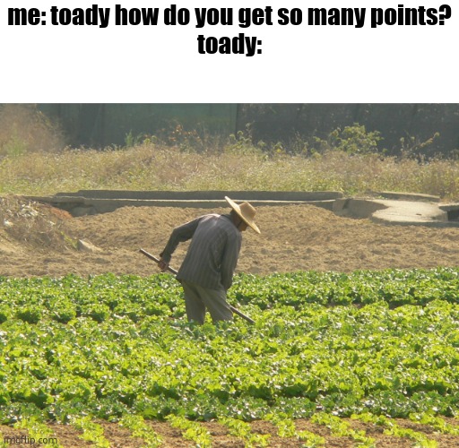 abysmal dogshit or absolute cinema | me: toady how do you get so many points?
toady: | image tagged in farmer | made w/ Imgflip meme maker
