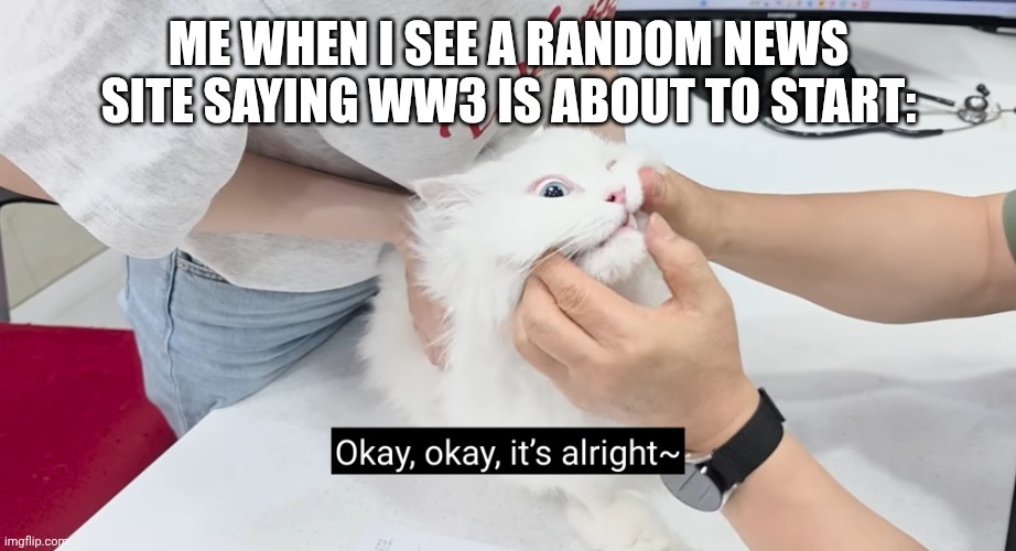 claire luvcat goofy cat | ME WHEN I SEE A RANDOM NEWS SITE SAYING WW3 IS ABOUT TO START: | image tagged in claire luvcat goofy cat | made w/ Imgflip meme maker