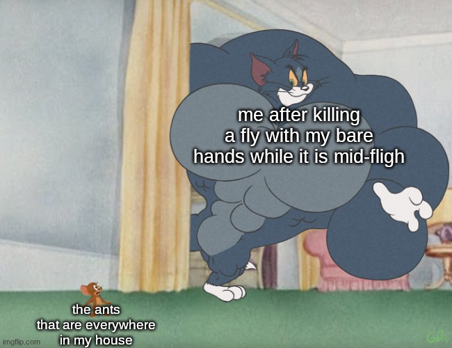Buff Tom and Jerry Meme Template | me after killing a fly with my bare hands while it is mid-fligh; the ants that are everywhere in my house | image tagged in buff tom and jerry meme template | made w/ Imgflip meme maker