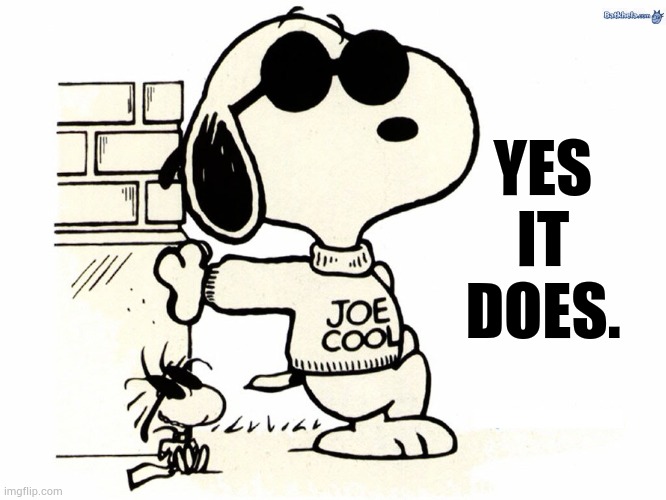Snoopy Joe Cool | YES IT DOES. | image tagged in snoopy joe cool | made w/ Imgflip meme maker