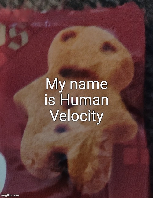 Cookie | My name is Human Velocity | image tagged in cookie | made w/ Imgflip meme maker