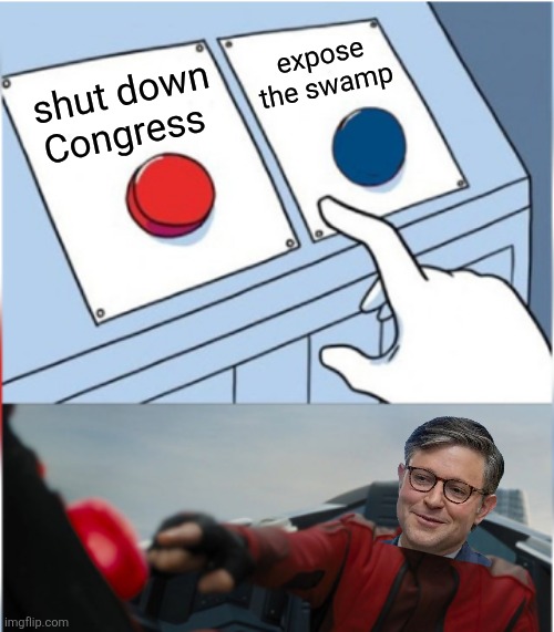 Worth it! | expose the swamp; shut down Congress | image tagged in robotnik pressing red button | made w/ Imgflip meme maker