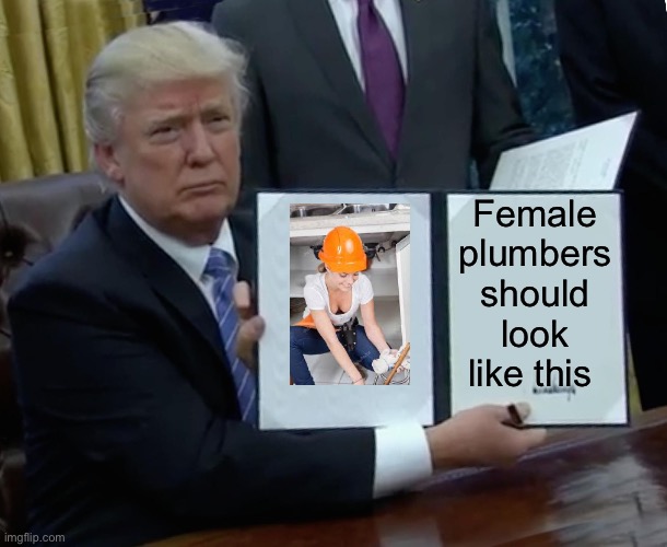 Plumb | Female plumbers should look like this | image tagged in memes,trump bill signing,boobs,cleavage | made w/ Imgflip meme maker