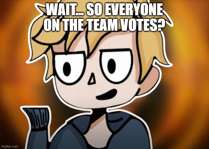 neesterhere | WAIT... SO EVERYONE ON THE TEAM VOTES? | image tagged in neesterhere | made w/ Imgflip meme maker