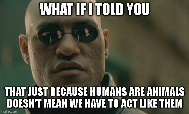 Especially those who use certain animals' behavior as an excuse to antagonize men or normalize other deviant behavior | WHAT IF I TOLD YOU; THAT JUST BECAUSE HUMANS ARE ANIMALS DOESN'T MEAN WE HAVE TO ACT LIKE THEM | image tagged in memes,matrix morpheus | made w/ Imgflip meme maker