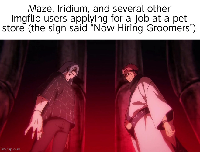 If yk, yk | Maze, Iridium, and several other Imgflip users applying for a job at a pet store (the sign said "Now Hiring Groomers") | image tagged in sukuna and mahito stare | made w/ Imgflip meme maker