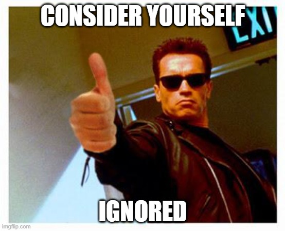 terminator thumbs up | CONSIDER YOURSELF IGNORED | image tagged in terminator thumbs up | made w/ Imgflip meme maker