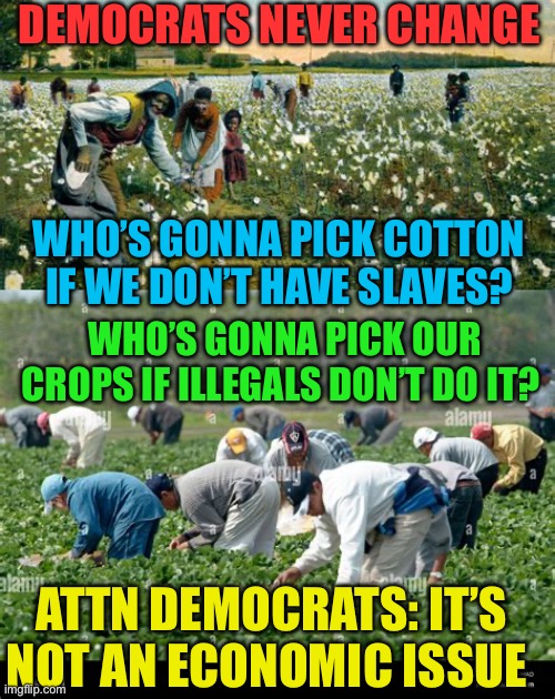 It’s a sovereignty and security issue, not economic | DEMOCRATS NEVER CHANGE; WHO’S GONNA PICK COTTON IF WE DON’T HAVE SLAVES? WHO’S GONNA PICK OUR CROPS IF ILLEGALS DON’T DO IT? ATTN DEMOCRATS: IT’S NOT AN ECONOMIC ISSUE | image tagged in gifs,democrats,hypocrites,democratic socialism,illegal immigration,security | made w/ Imgflip meme maker