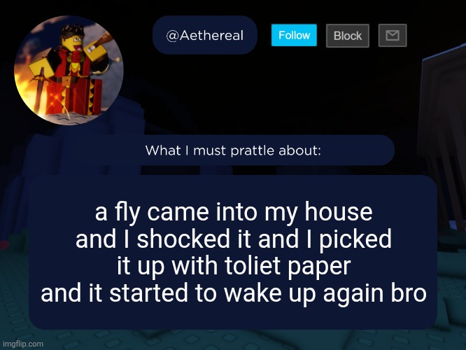 I flushed it before it started flying again | a fly came into my house and I shocked it and I picked it up with toliet paper and it started to wake up again bro | image tagged in aethereal's forsaken template | made w/ Imgflip meme maker