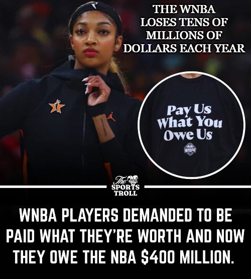 THE WNBA LOSES TENS OF MILLIONS OF DOLLARS EACH YEAR | image tagged in wnba,bankruptcy,bad business | made w/ Imgflip meme maker