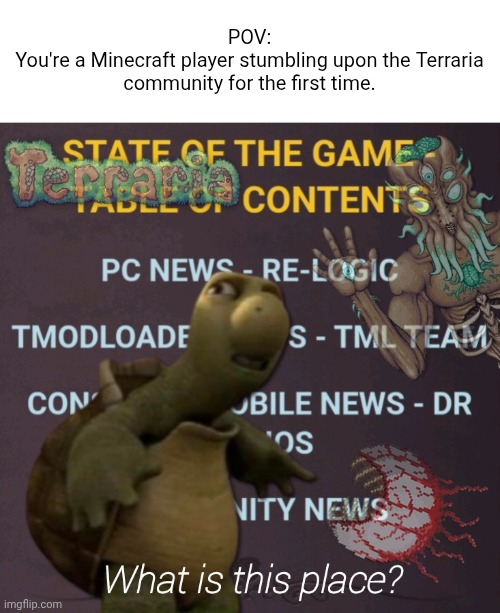POV:
You're a Minecraft player stumbling upon the Terraria community for the first time. | made w/ Imgflip meme maker