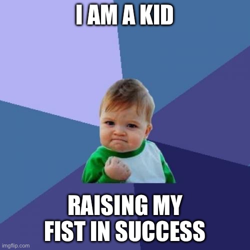 Success kid but it’s what it is. | I AM A KID; RAISING MY FIST IN SUCCESS | image tagged in memes,success kid | made w/ Imgflip meme maker