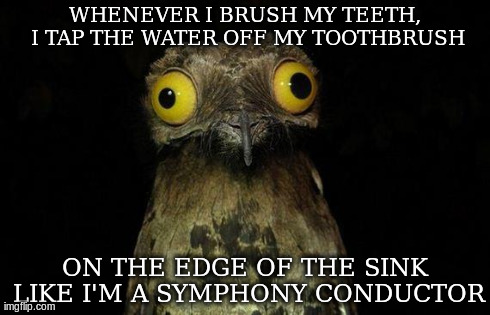 Weird Stuff I Do Potoo Meme | WHENEVER I BRUSH MY TEETH, I TAP THE WATER OFF MY TOOTHBRUSH ON THE EDGE OF THE SINK LIKE I'M A SYMPHONY CONDUCTOR | image tagged in memes,weird stuff i do potoo | made w/ Imgflip meme maker