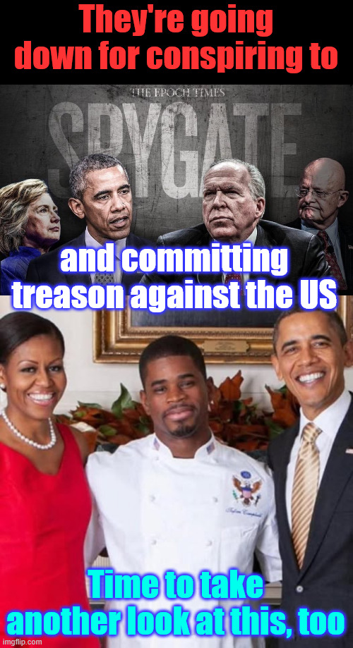 0bama needs to answer for his crimes | They're going down for conspiring to; and committing treason against the US; Time to take another look at this, too | image tagged in criminal,0bama,spygate,suspicious drowning | made w/ Imgflip meme maker