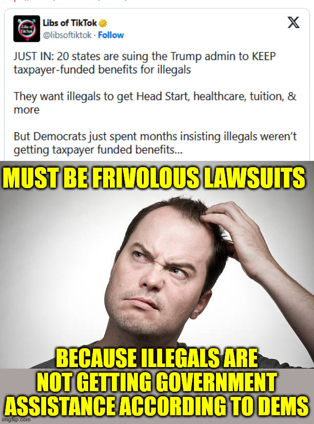 Frivolous lawsuits | MUST BE FRIVOLOUS LAWSUITS; BECAUSE ILLEGALS ARE NOT GETTING GOVERNMENT ASSISTANCE ACCORDING TO DEMS | image tagged in frivolous lawsuits,or they lied again | made w/ Imgflip meme maker