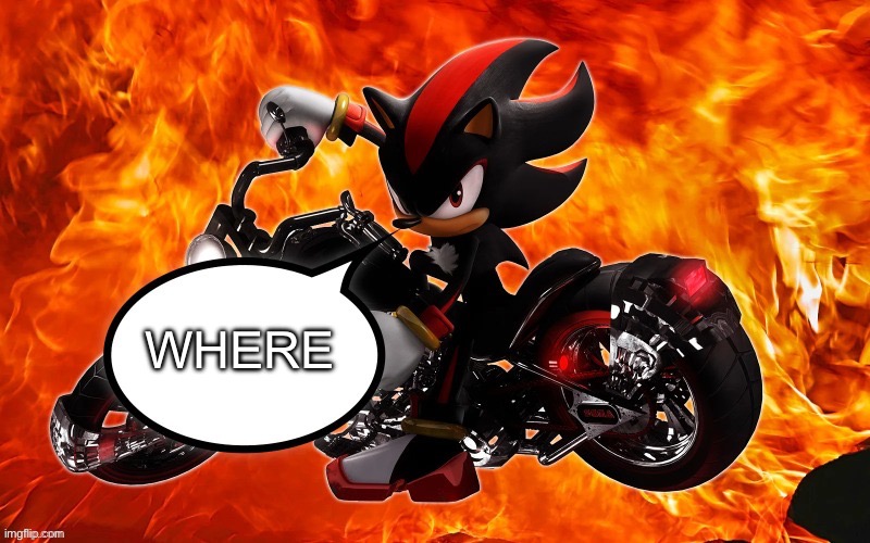 shadow says | WHERE | image tagged in shadow says | made w/ Imgflip meme maker