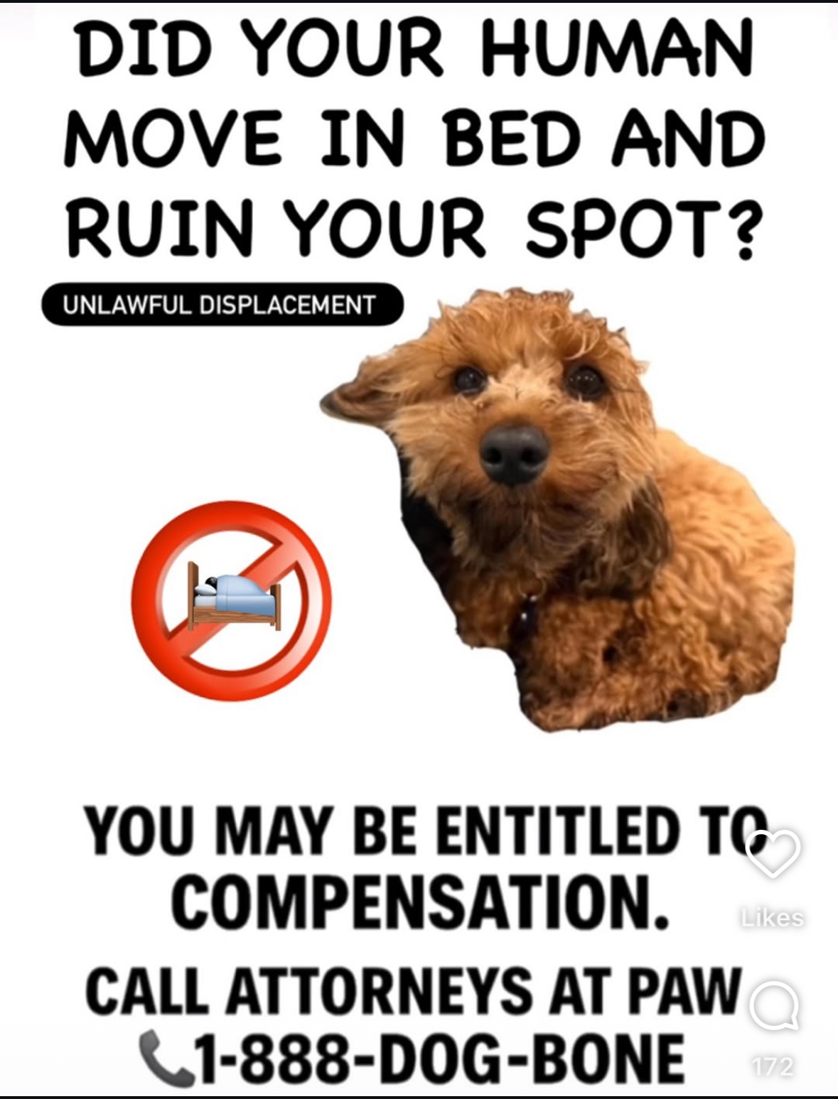 Dog unfair Blank Meme Template