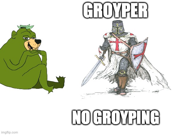 Groyper no Groyping | GROYPER; NO GROYPING | image tagged in groyper,crusader,trad,catholic,chad | made w/ Imgflip meme maker