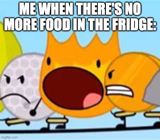 No food in the fridge | ME WHEN THERE'S NO MORE FOOD IN THE FRIDGE: | image tagged in open mouth firey | made w/ Imgflip meme maker