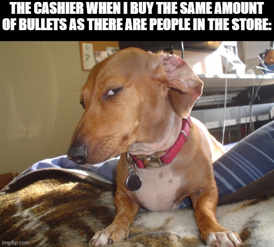 THE CASHIER WHEN I BUY THE SAME AMOUNT OF BULLETS AS THERE ARE PEOPLE IN THE STORE: | image tagged in suspicious dog | made w/ Imgflip meme maker