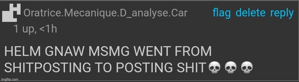 HELM GNAW MSMG WENT FROM SHITPOSTING TO POSTING SHIT ??? | image tagged in helm gnaw msmg went from shitposting to posting shit | made w/ Imgflip meme maker
