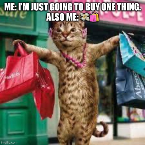 So me | ME: I’M JUST GOING TO BUY ONE THING.
ALSO ME: 💸🛍️ | image tagged in cat shopping | made w/ Imgflip meme maker