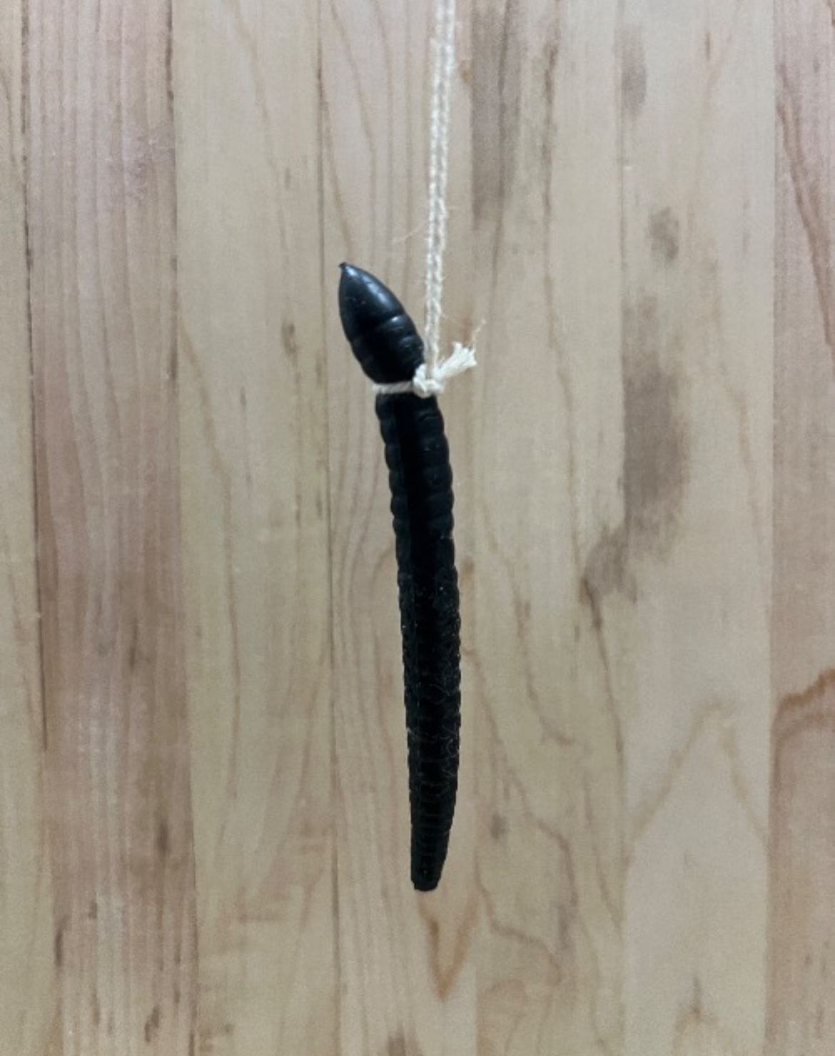 Worm suicide Blank Meme Template